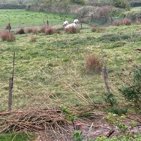 Tregatherall Barn Appartamento Boscastle